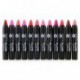 12pc Nabi Cosmetics Professional Selected MATTE Lip Color Lipstick Set of 12 Shades