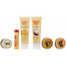 Burt's Bees Tips and Toes Kit
