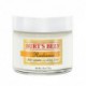 Las abejas de Burt día de la resplandor Cream, 2 onzas