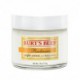 Abeilles Burt Radiance Crème de nuit, 2 Onces