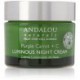 Andalou Naturals Purple Carrot Plus C Luminous Night Cream, 1.7 Ounce