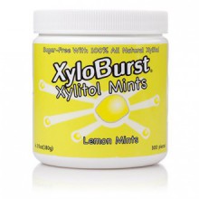 XyloBurst Mint Jar Lemon 300 count (6.35oz)